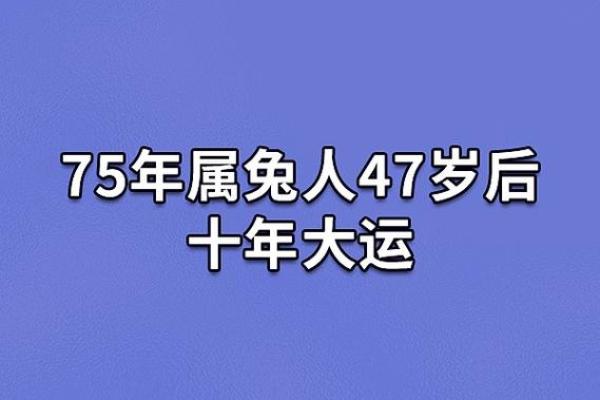 1975年属兔，何为兔年与出生命理的结合探讨