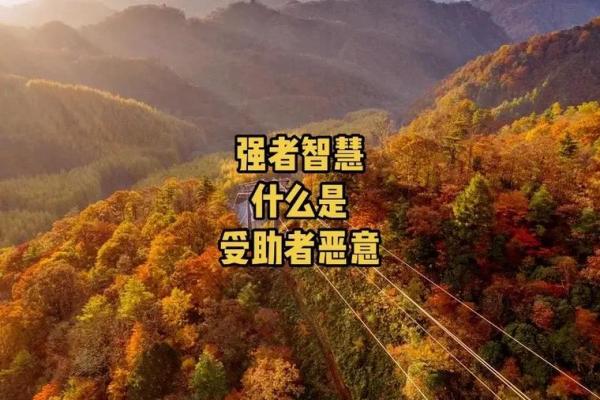 看透命格：如何通过细节洞悉他人的命运玄机