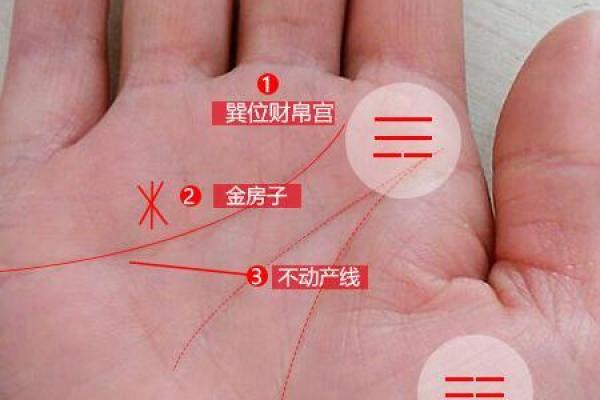 62年出生的女性命运探秘：命中注定的精彩与挑战