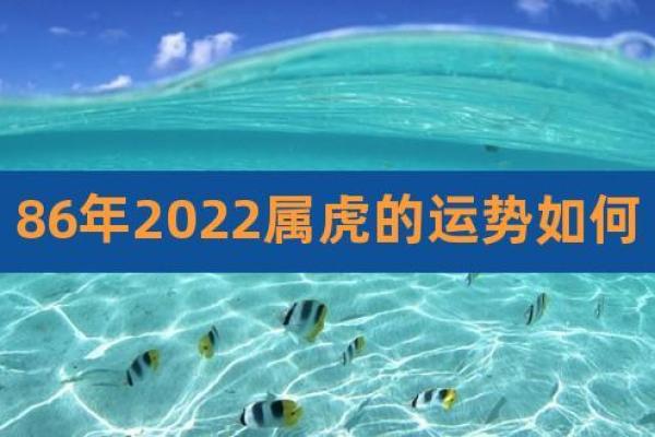 2022年运势解析：如何把握这一年中的机遇与挑战
