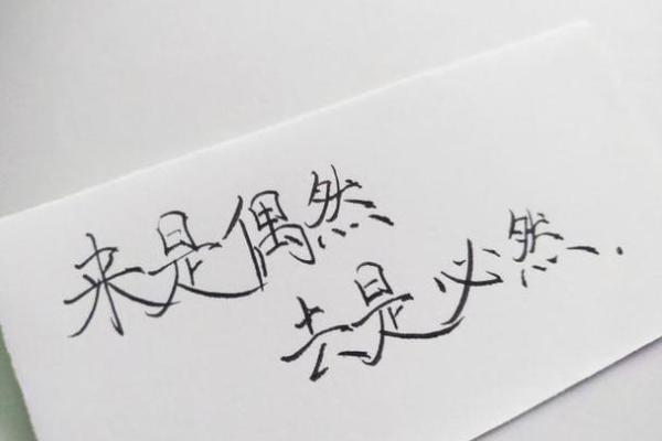 探秘己巳年：为何属于土命的命格与人生之道