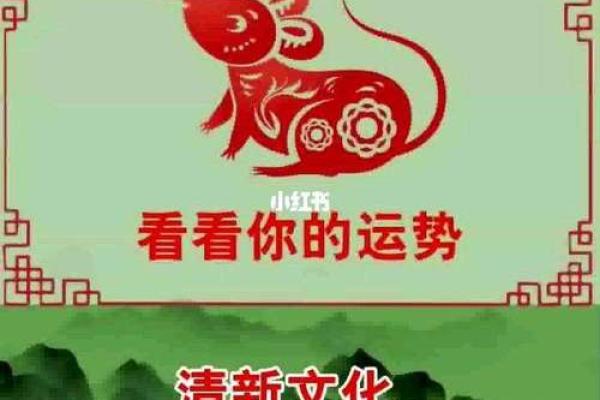 2001属鼠人的命运解析：财富、性格与未来发展的多重解读