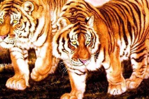 2005年属虎人命理分析：激情与挑战的交织之路