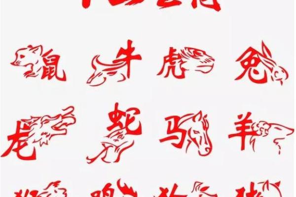 虎年宝宝的命理解析：属什么命最合适？