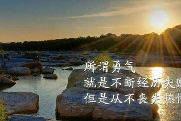 寅虎生在寅时的命理解析：探索勇敢与智慧的结合之道