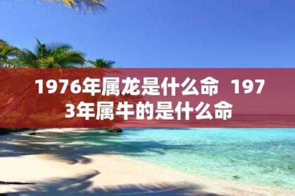 1996年出生的男孩命运解析:从生肖与五行看人生旅程 1996年出生的男孩命运解析:从生肖与五行看人生旅程