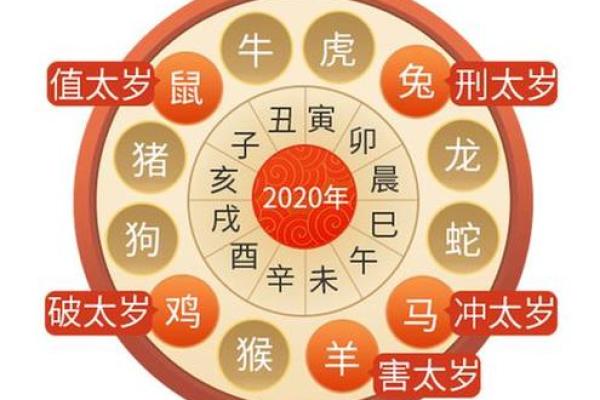2026马年干什么命？揭秘马年出生者的命运与性格特征