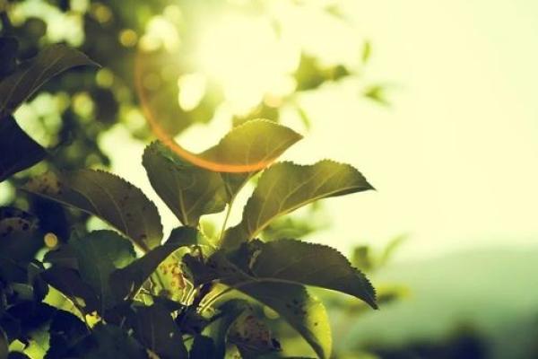 词语接龙：逃命、命运与生活的智慧