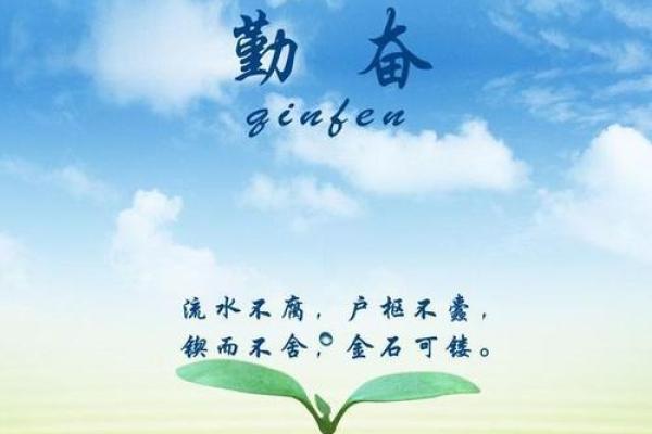 1985年属牛，命运之路与人生奋斗的启示