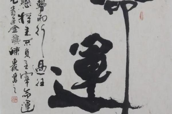 揭秘：最好命的人究竟是什么命？探索命运的奥秘与人生的选择！