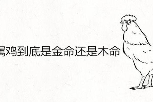 金命命重八钱的深层含义与生活启示