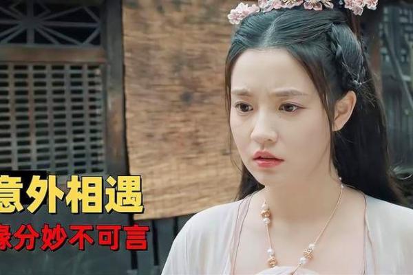 1993年出生的人命配偶解析：爱与缘分的奇妙旅程