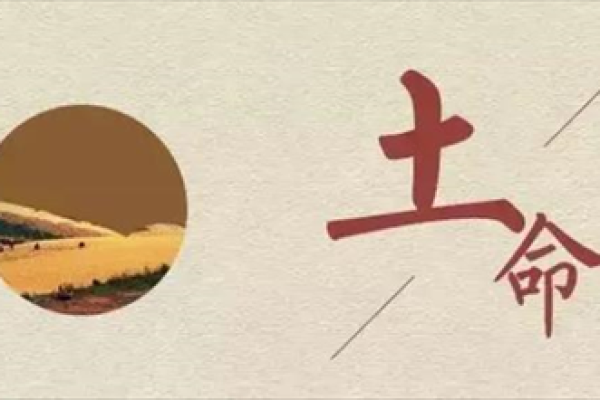 1970年土命的秘密：你不知道的命理奥秘与人生启示