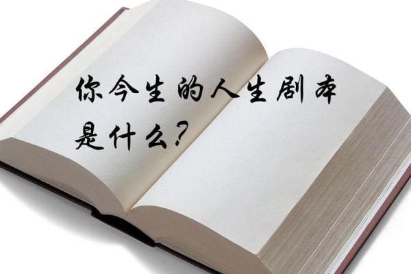 从命理看人生：成语接龙的智慧与启示