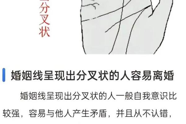 探索手相中的幸福命运：你手掌中的秘密
