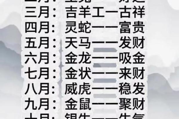 揭秘金龙命与属相的完美配对，让你的命运更加辉煌！