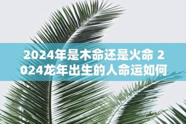 连生儿子的女人什么命？揭秘命运背后的秘密！
