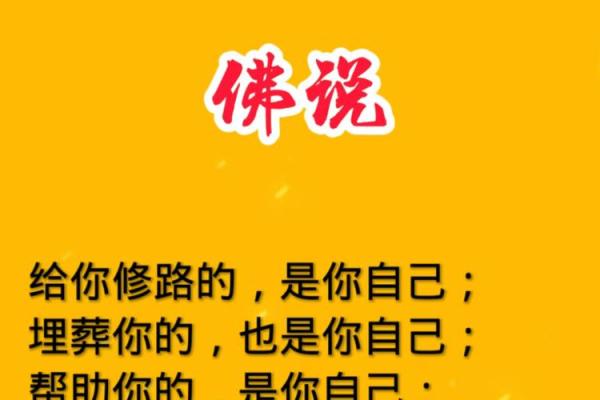 佛乃我命，命不由终的深刻理解与人生感悟