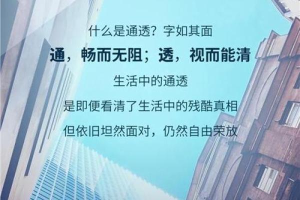 揭秘女4.6两的命运与性格分析，探索人生的奥秘！