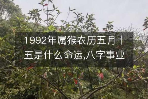 揭秘1957年属猴人的命运与人生智慧