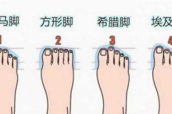 掌握命运：脚趾弯曲揭示你的性格与未来潜能