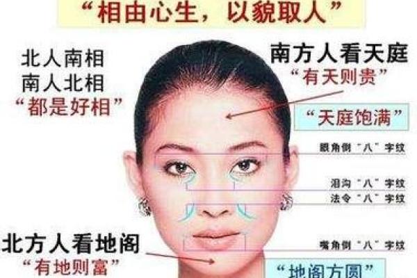 揭秘鼻孔大的人的命运与性格奥秘，带你了解隐藏在面相中的人生密码！