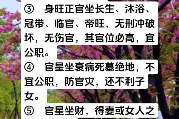探索命理奥秘：金木水火命适合之年龄段详解