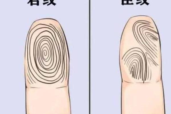 96年女生命运解析：揭示她们的人生轨迹与性格密码