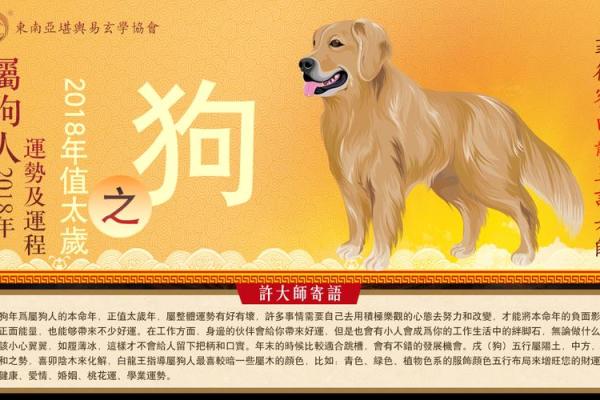 解析94年属狗男性的命理与运势，探寻人生道路的秘密