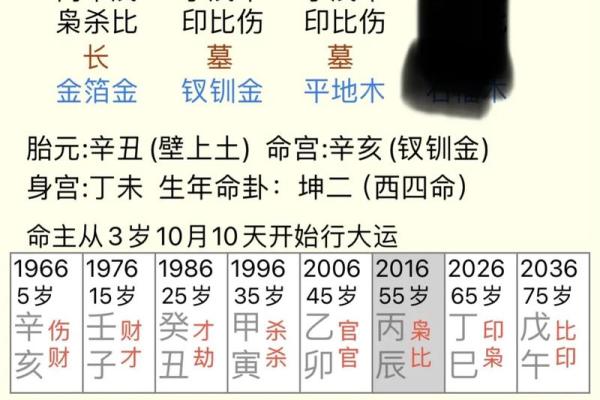 女命的命理智慧：揭秘八字中哪个符号代表父亲