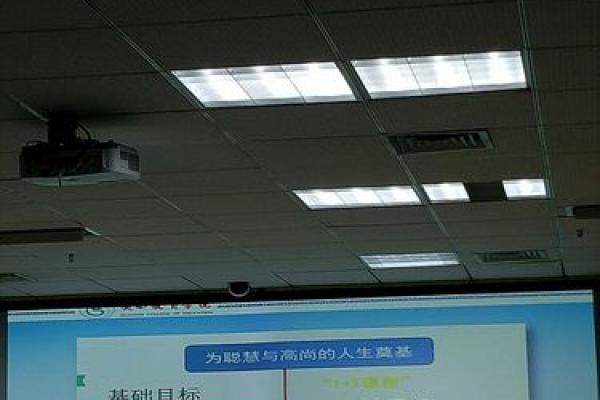 1995年5月25日出生的人命运与性格特征的解析