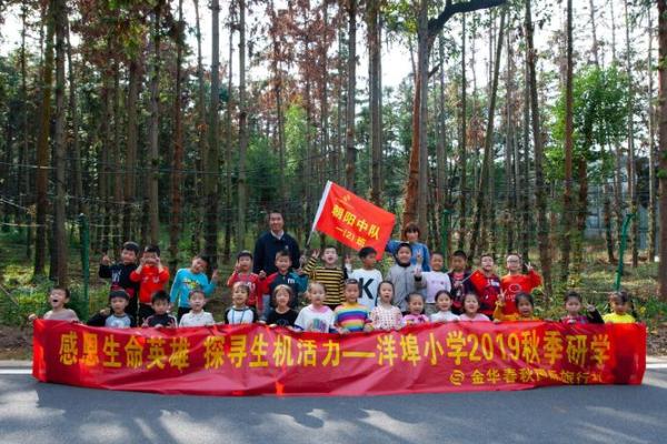 探索木命：生命中的生机与活力