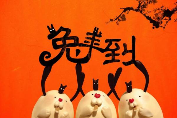 1995年的生肖解析与人生启示：如何在兔年中追求梦想与幸福