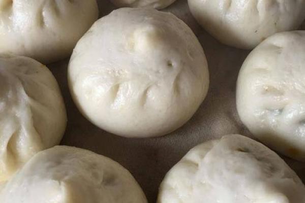 南瓜的命运：解密南瓜在文化与生活中的深刻象征