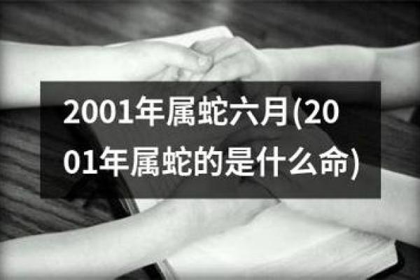 属什么就是什么命：命运与生肖的奥秘探讨