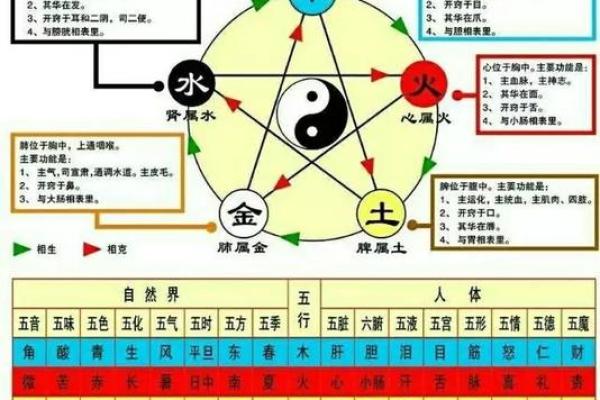 剑锋金命夫妻最适合生什么命宝宝？探秘五行之和谐搭配