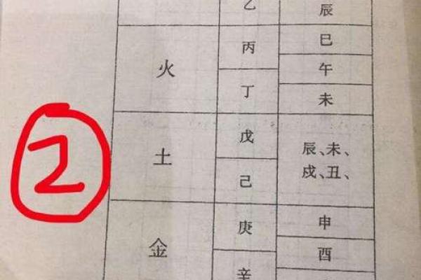 水命八字解析：适合选择的大学专业推荐与分析