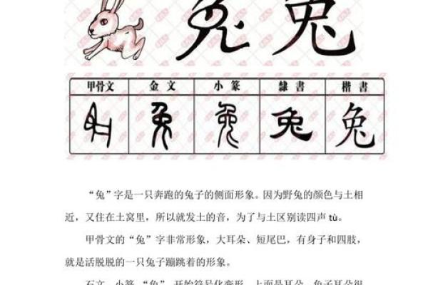 75兔的命理解析：属金还是属火的深度探索
