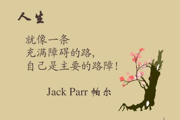 揭开庚子时命运之谜：他们的人生轨迹与性格特征探析