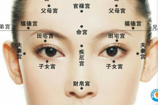 看相之道：通过面相解读你的命运与人生之路