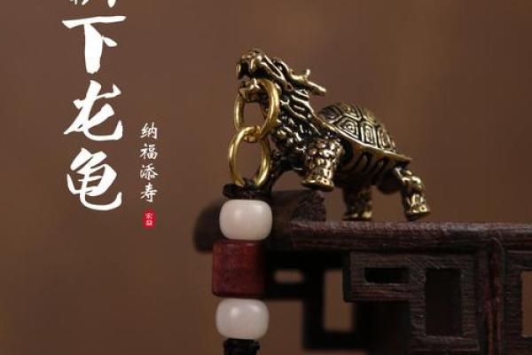 水命人士必看：养乌龟招财的秘诀与技巧！