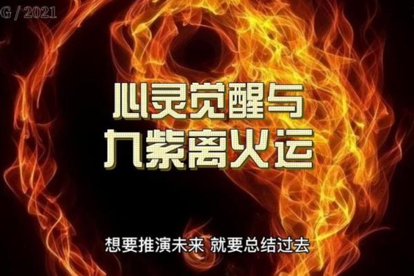 探寻苦命命的真谛：命运背后的故事与心灵的觉醒