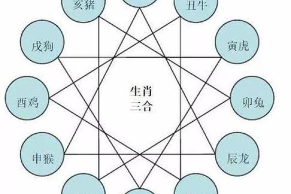 生肖配对：哪个生肖与哪个生肖的命最佳？解密生肖之间的和谐关系！