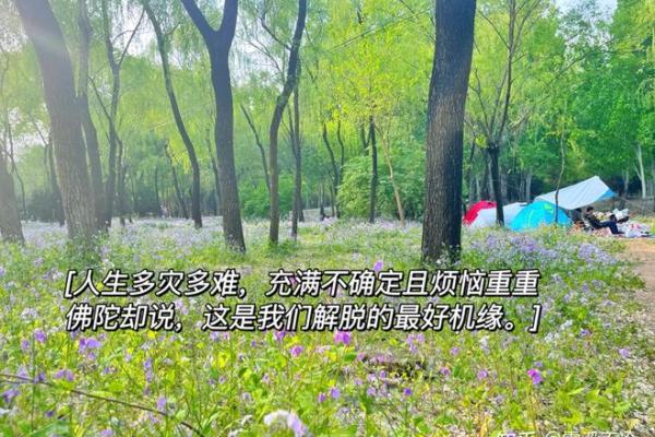 1908年：命运之年的启示与人生智慧