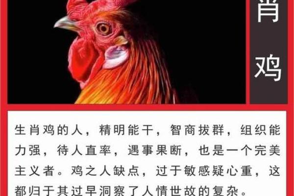 1993年属鸡的人命运解析：机智勇敢，前途无量！