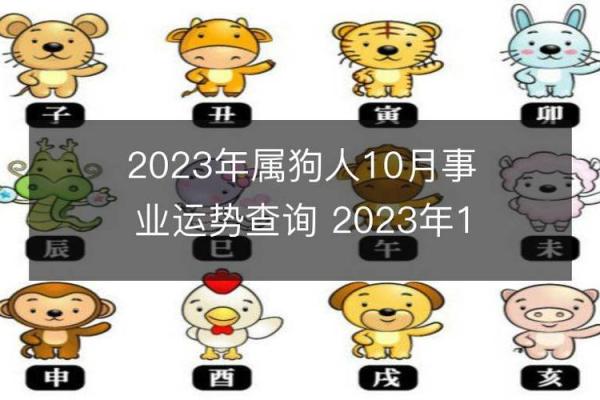 75岁属狗的命运解析：智慧与经历的完美结合