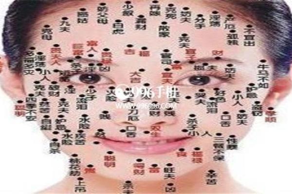 额头大的女人命运解析：她们的独特魅力与人生轨迹
