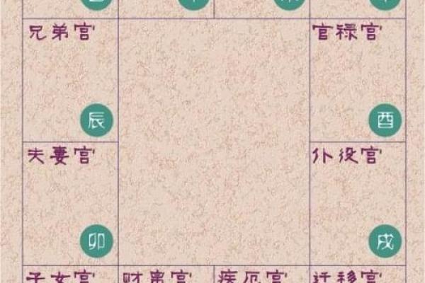探索紫薇命盘的奥秘：揭示人生的指引与智慧