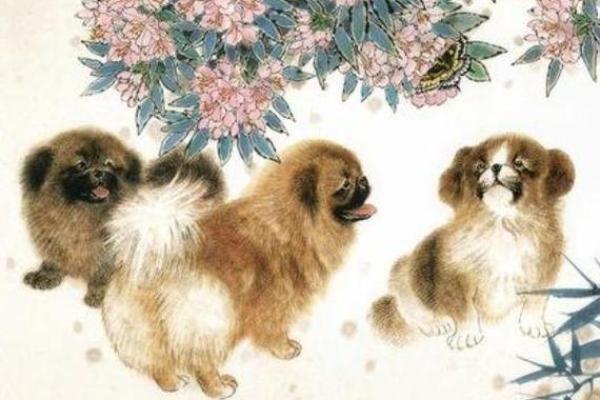 属狗命运解析：带什么字才能更好地呵护她们的生命旅程