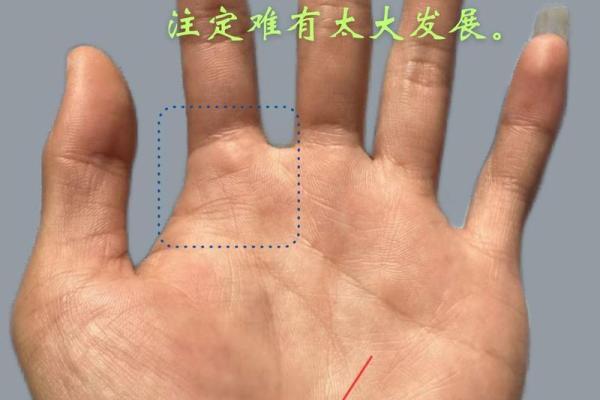 揭示手掌纹路的秘密：解码你人生的命运之路